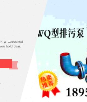 排污泵522QWK-WWK20  W/型20(220Q0/W-222009Q0 极) 0