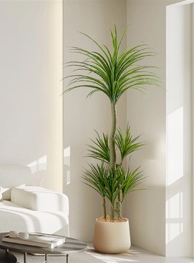 彷真龙血树室内j造型装饰摆件电视柜旁边高端轻奢大型落地彷生绿