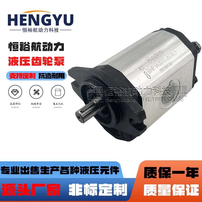博顿液压油泵Boden齿轮泵BHP1A0D13.8C0L1 BAP1B0 BAP1A0高压油泵