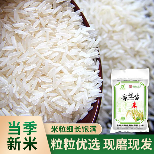 香糯香丝苗猫牙米南方长粒米清香软糯营养米香浓郁真空农家新大米