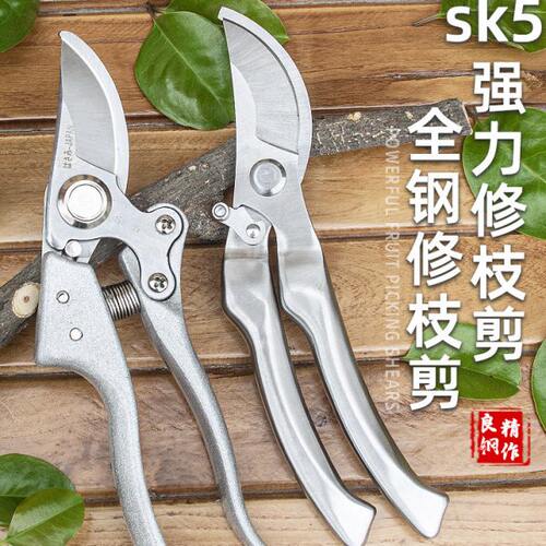 剪枝果树修枝剪刀园艺园林修剪树枝省力剪花椒树家用粗枝强力剪子