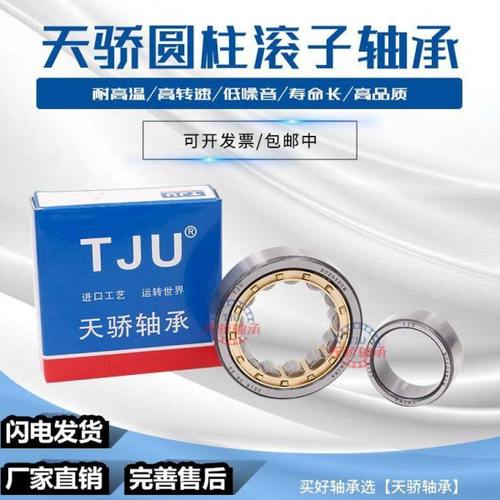 天骄 轴承 NJ 2304 2305 2306 2307 2308 2309 E TVP2 M1 /C3