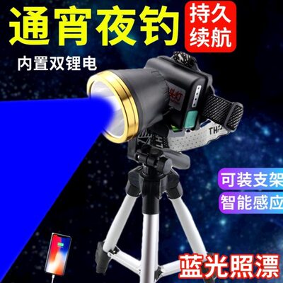 超亮感应蓝光夜钓灯照漂可装支架夜钓蓝光照漂头灯强光钓鱼灯充电