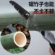 砍竹子神器锯毛竹专用锯剧子工具全竹锯手拉锯子快速手动砍树伐木