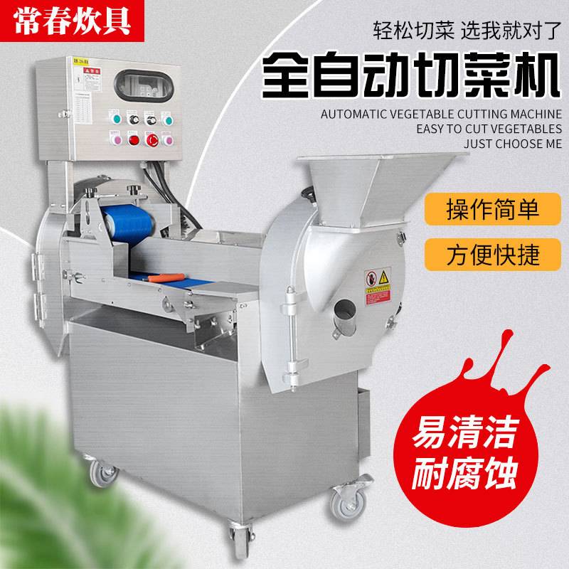 801型多功能双头切菜机蔬菜切丝切片切丁切段机商用切菜机