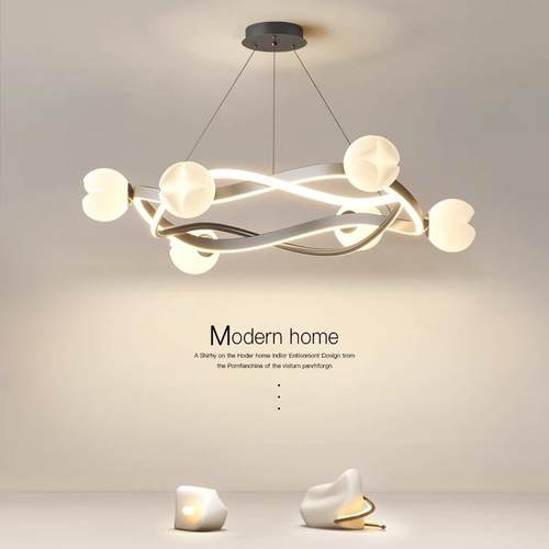 客厅吊灯2024年新款现代简约大气灯具极简圆环餐厅灯北欧客厅主灯