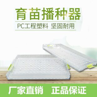 穴盘播种器小型手动漂浮盘育苗点播甘蓝菜花西蓝花辣椒白菜点籽器