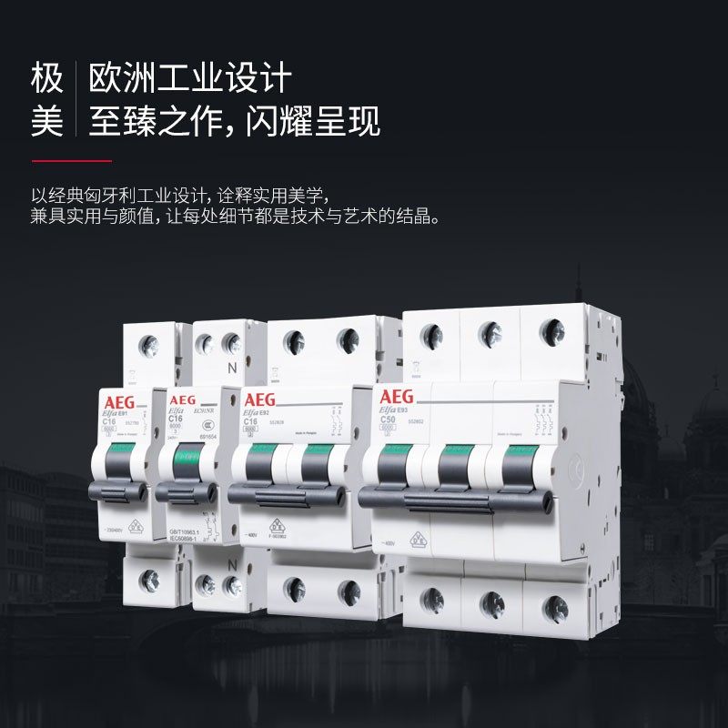 AEG空气开关1P断路器2P总开保护器家用63A短路保护