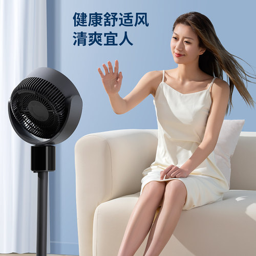 德国空气循环扇家用电风扇宿舍办公室台式小型桌面遥控立式落地扇