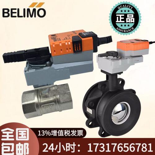 搏力谋二通球阀水阀R2025 50电动调节执行器LR NR24A-SR GR230