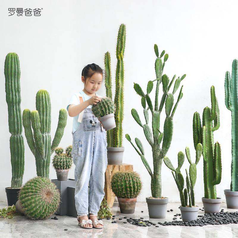 罗曼爸爸仿真植物装饰仙人掌仙人柱假绿植盆栽干花落地客厅装饰,畜牧/养殖物资,畜牧/养殖器械,淘宝优惠券,粉丝福利购,淘宝优惠卷