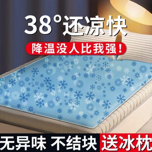 席学生宿舍坐垫凝胶冰凉双人床冰垫床垫降温神器垫注水单免冰枕