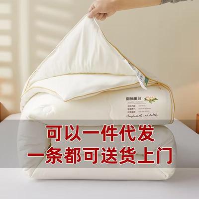 A类蚕丝被桑蚕丝被子母被二合一拉链款双人春秋被芯四季通用