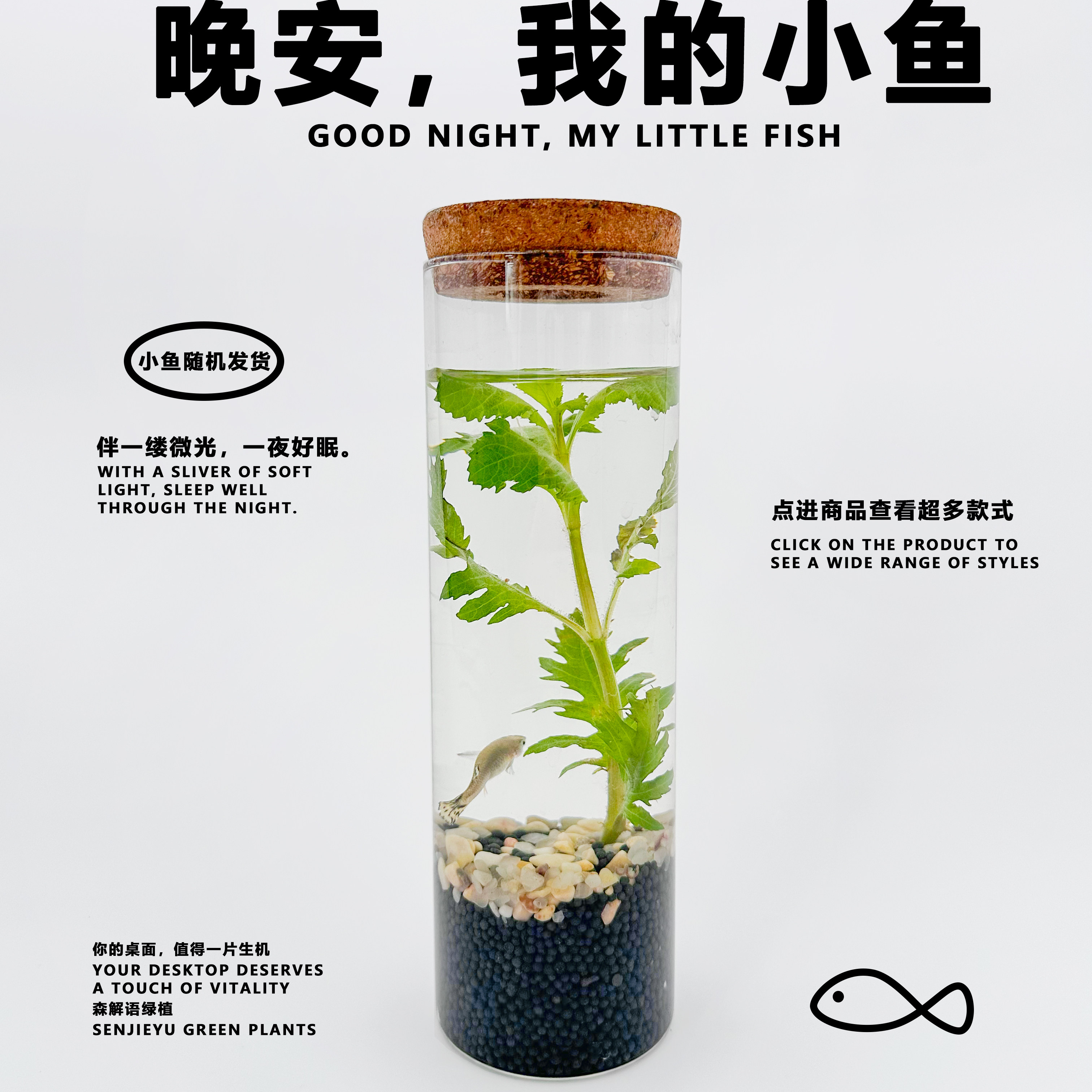 微景生态鱼缸全套桌面造景套餐