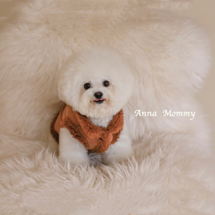 小狗狗衣服秋冬装新款桃皮绒马甲宠物猫咪加绒棉衣泰迪比熊小型犬