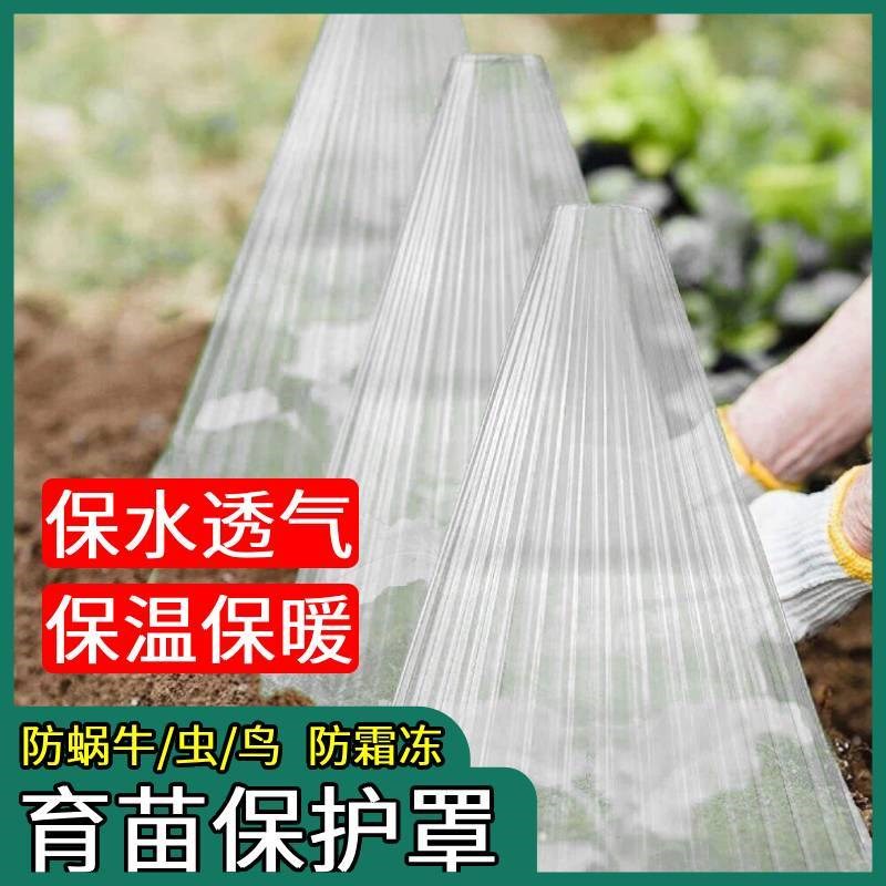 育苗保护罩可重复使用温室加厚农B用植物罩家用型菜苗幼苗透明钟