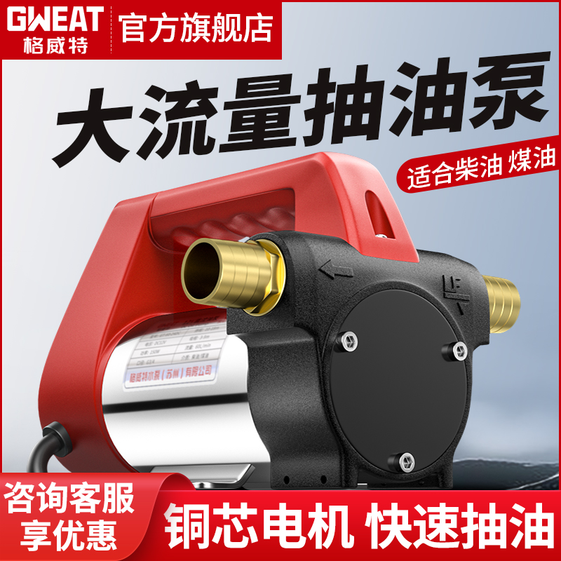 格威特电动抽油泵加油泵自动吸柴油泵抽加油机 二代U220V抽油泵