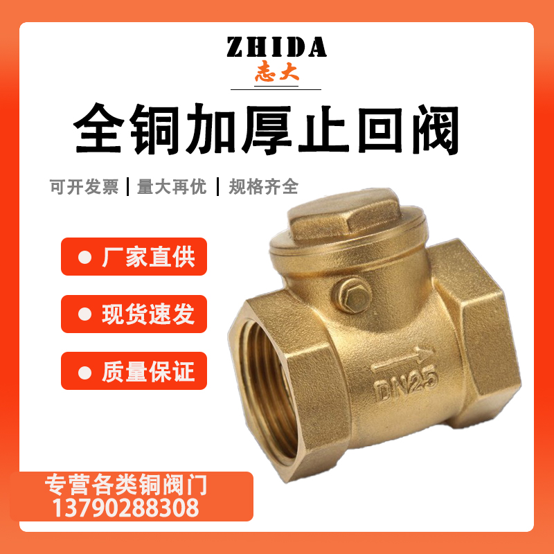 卧式止回阀 全铜单向阀 逆止阀s 止回阀 4分6分1寸 DN50 65 80 10
