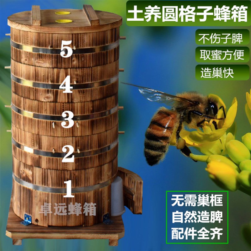 圆桶蜂箱土养格子蜂箱自然造脾土养中蜂无巢框招蜂桶诱蜂箱实木