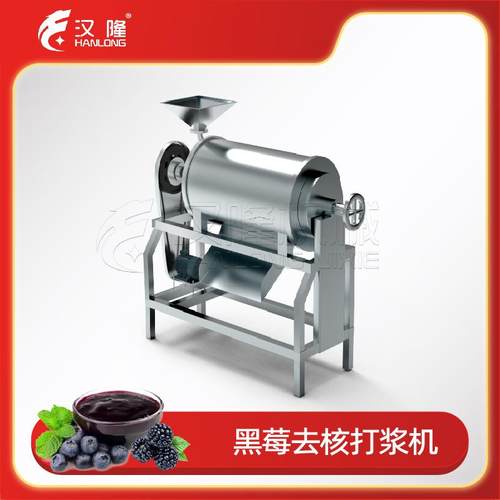 厂家优惠工业不锈钢黑莓去核打浆机葡萄草莓桑葚打浆水果原浆加工