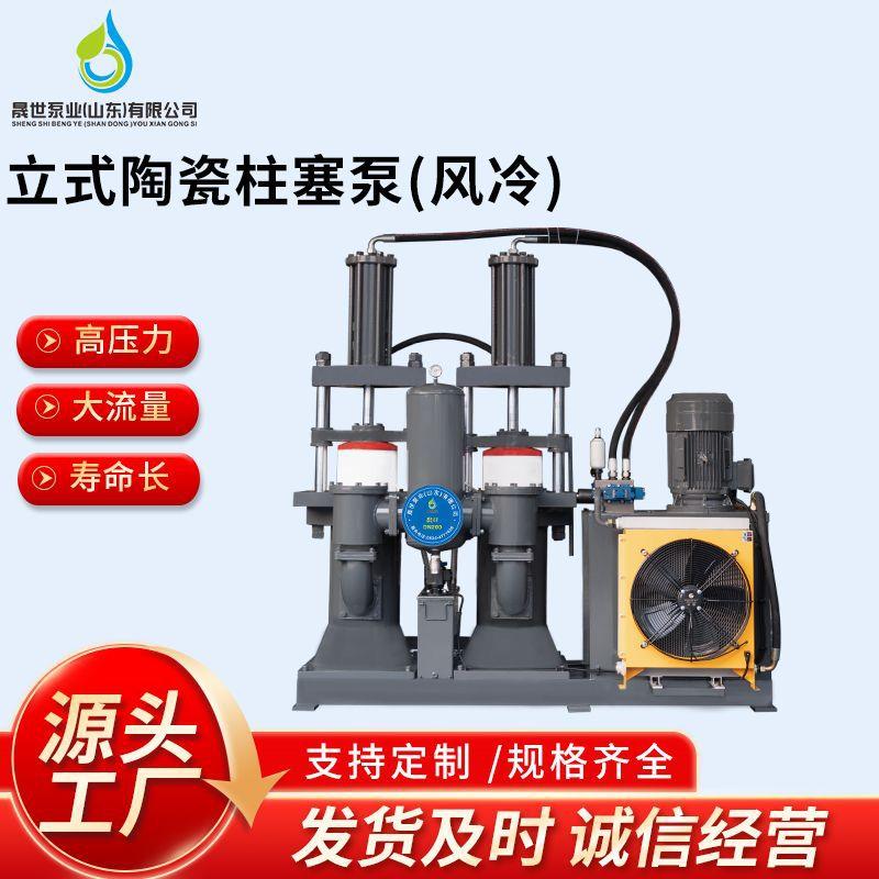 压滤机入料泵节能环保大流量环保废料输送废水输送排污柱塞泵