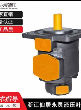 YLC仙居永灵叶片泵SQP32-32-15-89CAF-R/SQP32-25-15-89CAF-R油泵