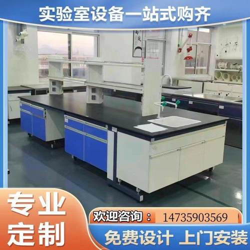全钢通风柜理化室操作台钢木实验台工作台实验室试剂架试验桌化学
