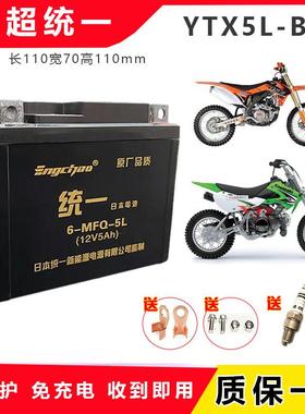 适用波速尔猎豹越野M1歼1华洋T2魔术师CQR250机车YTX5L-BS电瓶