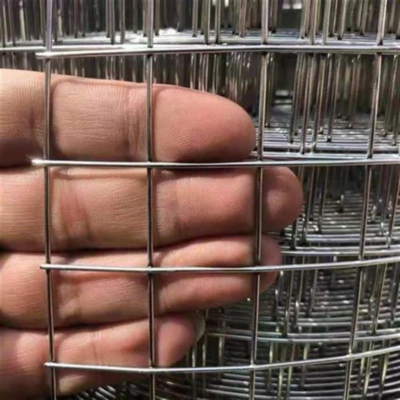速发新款镀锌铁丝电焊qq网片小孔养殖围栏钢丝网养鸡狗笼兔笼加粗