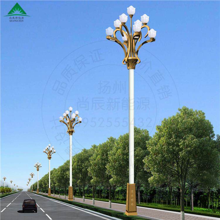 广场道路照明灯庭院景观灯LED灯中华灯LED玉兰灯来图可制厂家直销