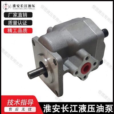 淮安长江齿轮泵RGP-2A-F02/F03/F04/F05/F06/F08/F09/F11/F12油泵