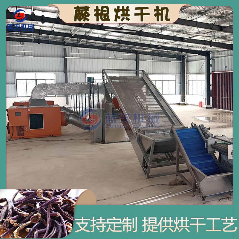 网带蕨根烘干机 大型拳头菜蕨菜根烘干流水线 山野菜脱水烘干设备