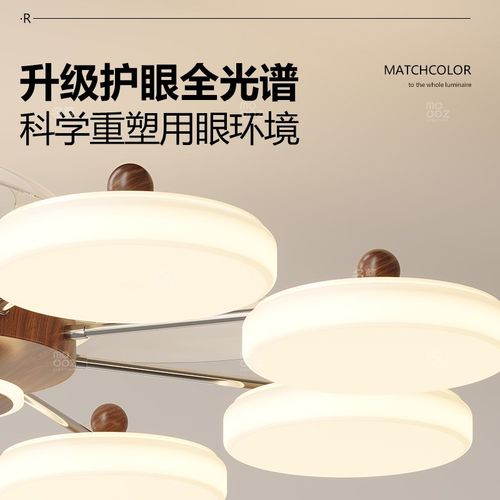 客厅风扇吊灯2025新款覆古中古风油风高级感大R气大厅主灯中山灯