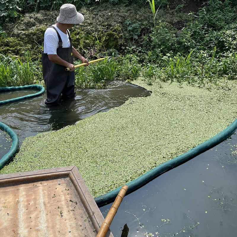 河道水面拦污网清理垃圾v漂浮物龙虾防逃网蟹塘浮萍青苔水草
