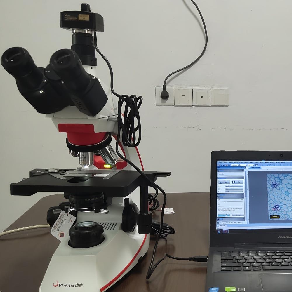 BMC532/533/522-ICCF数码生物显微镜无限远衬托半复消色差镜