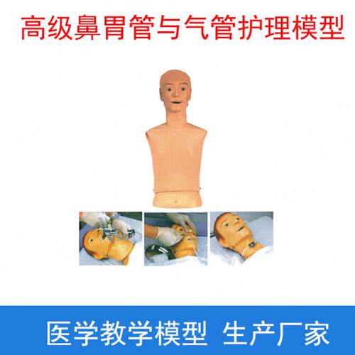 上海医模 高级鼻胃管与气管护理模型 插胃管口切开护理教学训练模