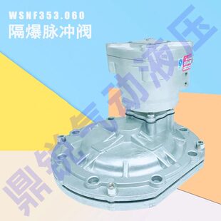 隔爆电磁脉冲阀 NF353R235 NF353G230 NF353G235 NF353R230