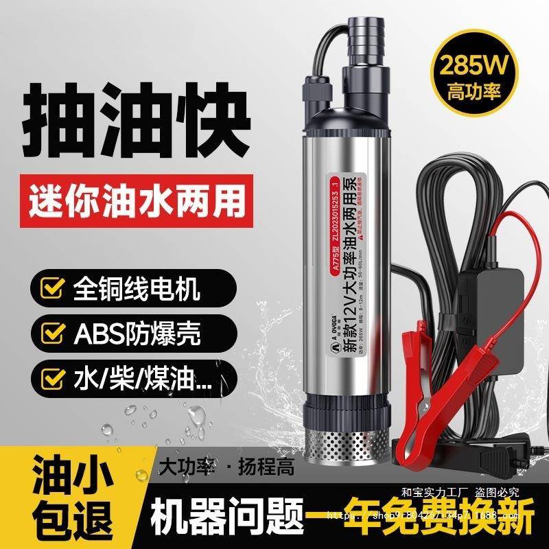 直销德国285w电动大功率柴油泵12v抽油泵大流量24V小型抽水泵