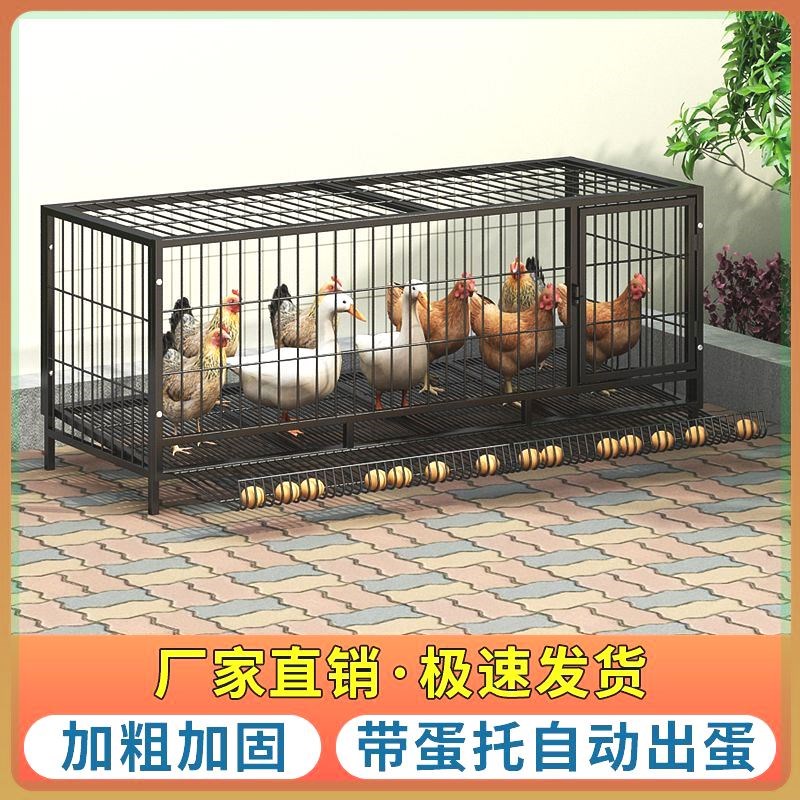 养鸡笼家用鸡笼子养殖笼家用铁笼鸡舍家用蛋鸡笼兔笼特大号