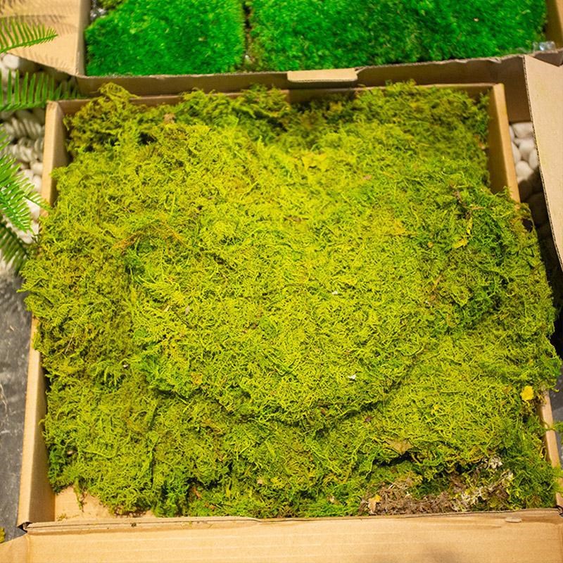 青苔假苔藓造室内k微景观人造草坪绿植墙植物墙面绿化装饰苔藓