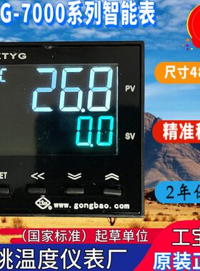 仪表1厂WT  W3W0 70175751WX49GY3WW70 75W 700- 70 温度70余姚