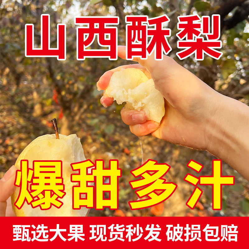【瑕疵果/小果】山西特产女皇贡梨 当季新鲜水果脆甜多汁,水产肉类/新鲜蔬果/熟食,梨,淘宝优惠券,粉丝福利购,淘宝优惠卷