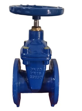 德标F4弹性座封闸阀GGG50法兰软密封暗杆闸阀DIN3202 DN100 80 50