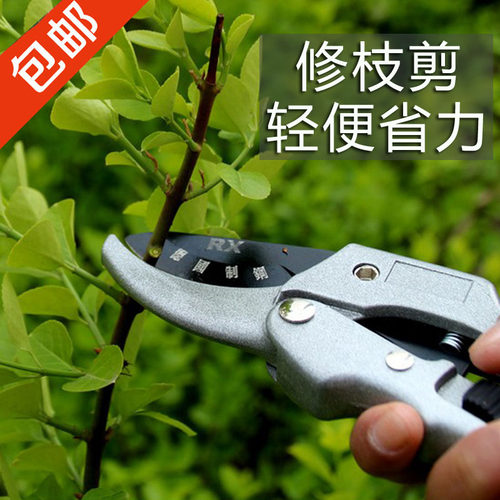 园艺省力剪果枝剪修枝剪修花剪枝剪刀园艺剪园林工具