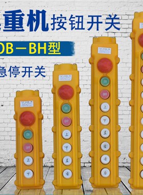 包邮COB-BH型起重机防雨型按钮开关带急停62/63/64/65BH力特电器