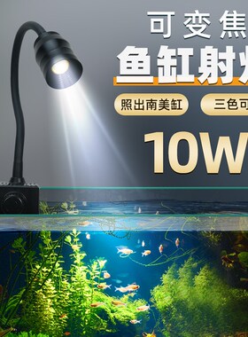 鱼缸灯变焦灯南美射灯原生缸水族观赏灯智能照明led防溅水水草灯