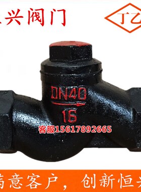 H11T-16升降式卧式止回阀 铸铁内牙丝扣单向阀DN25 40 50 6分 1寸