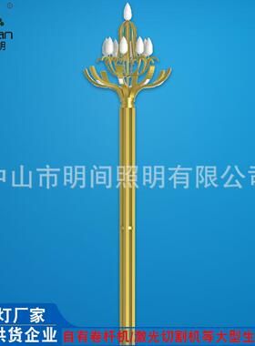 直销中式创意户外景观玉兰灯市政工程建设道路8米15米led中华灯