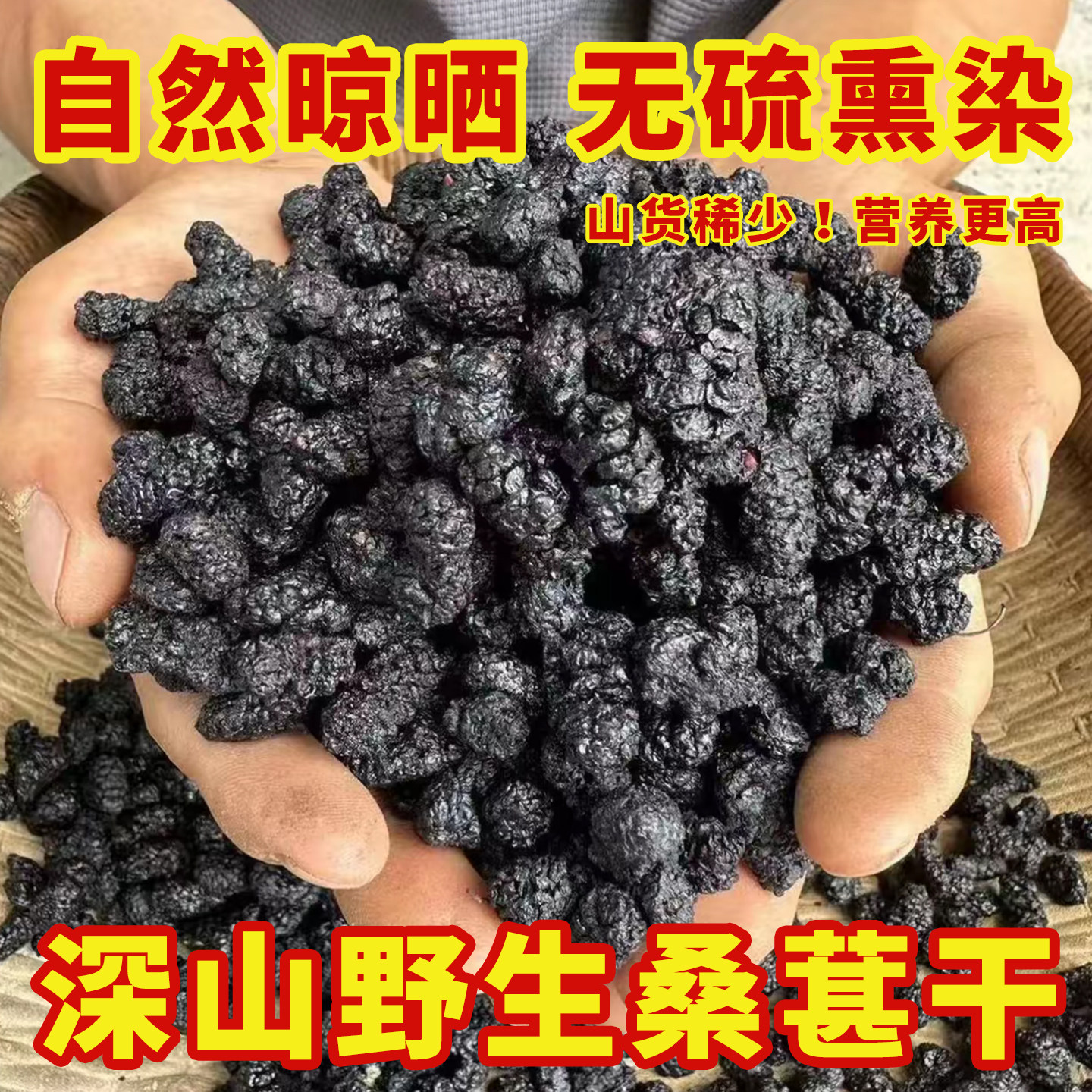 正宗新疆桑葚干官方旗舰店黑桑椹特级2025新货中药材天然泡水甚子