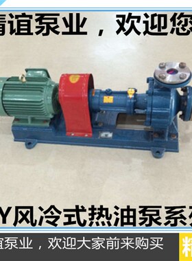 高温导热油泵RY65-50-160锅炉循环导热油泵抽油泵输送热油泵